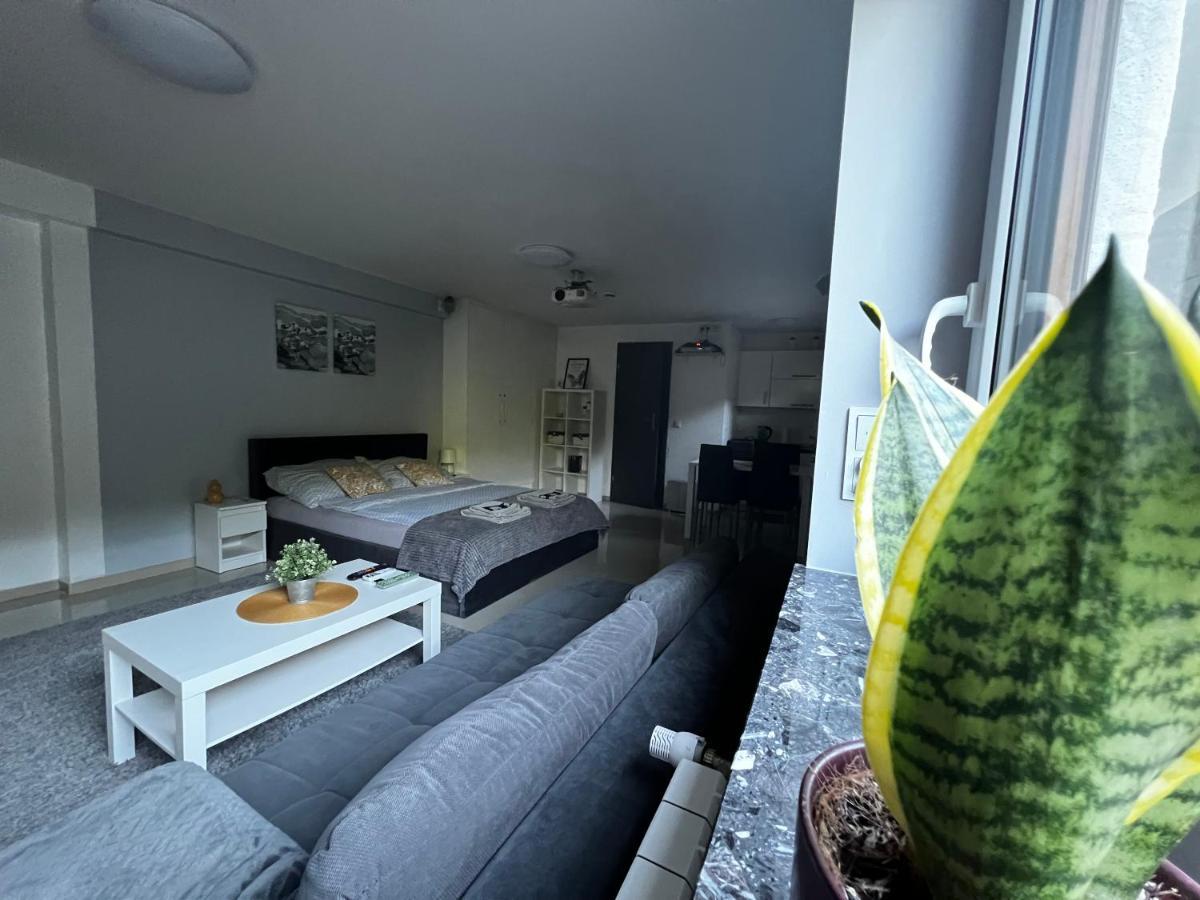 Apartament Play Pietrzykowice  Exteriör bild